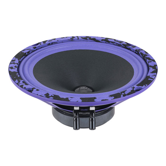 Автоакустика DL Audio Piranha 200 V.2