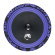 Автоакустика DL Audio Piranha 200 V.2